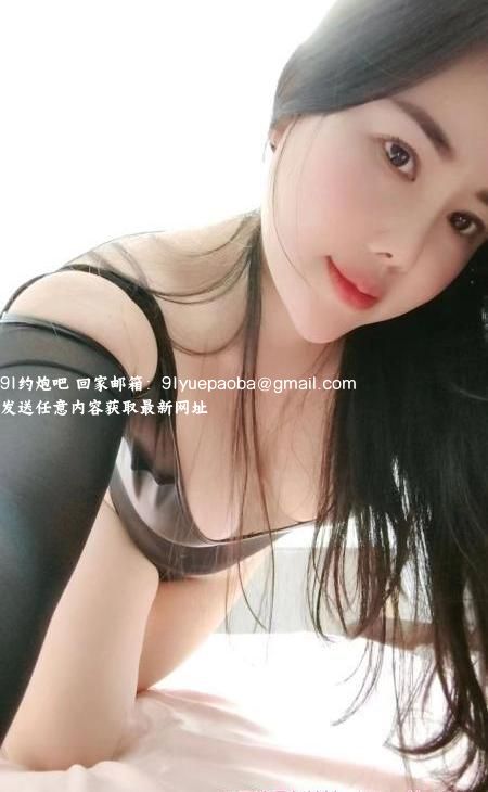 西丽D杯狐狸