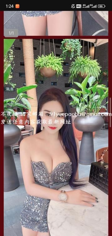 金牛玫瑰回归