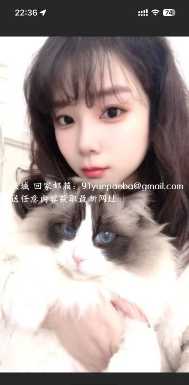 性价比少妇