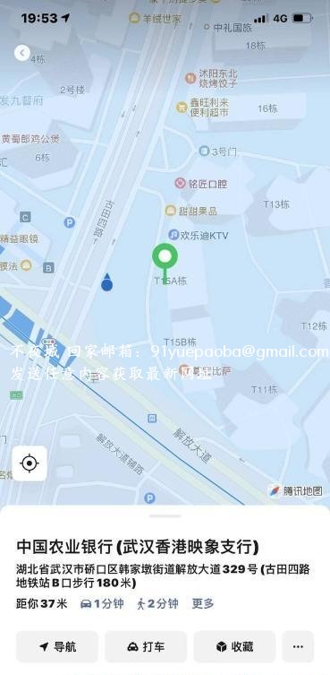 硚口36大E青青