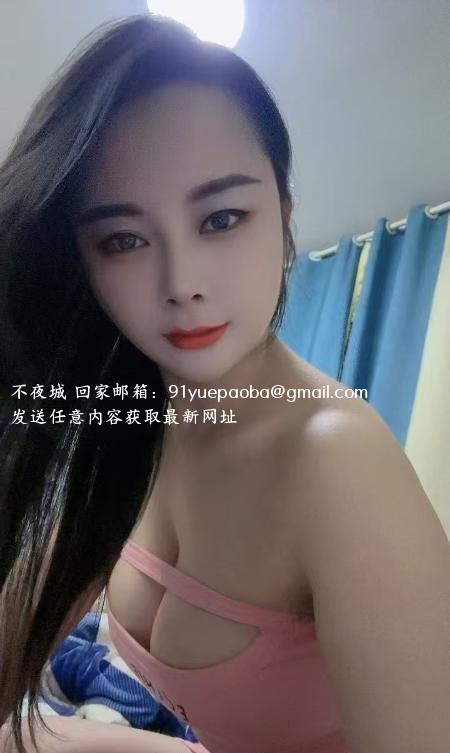包河小夜猫