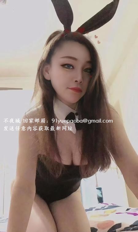 宝安大白奶小肥猫