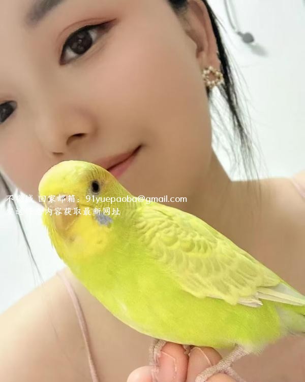 江岸个人半套小姐姐