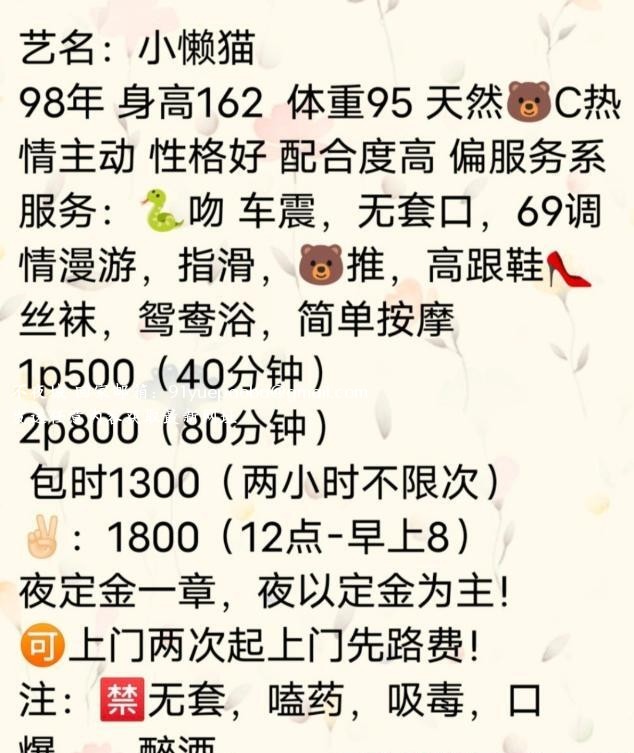武汉小懒猫